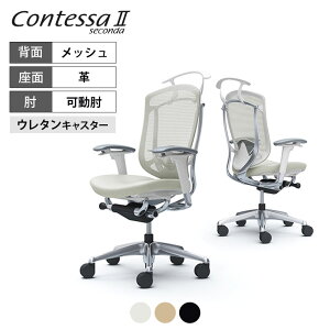 IJ RebTZR_ Contessa II 2 nCobN v AWXgA[ |bVt[ zCg{fB o[T|[gt nK[t E^LX^[ CC84XZokamura 쏊 