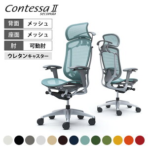�I�J���� �R���e�b�T�Z�R���_ Contessa II 2 �G�N�X�g���n�C ��^�Œ�w�b�h���X�g �����b�V�� �A�W���X�g�A�[�� �V���o�[�t���[�� �O���[�{�f�B �����o�[�T�|�[�g�t �n���K�[�t �E���^���L��