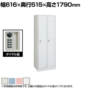 IJ FZbJ[ 2lp_C ގ[ X߃bJ[ FZ^Cv 45D2FE 616×s515×1790mm ItBXbJ[ ItBX[ yYzyiz