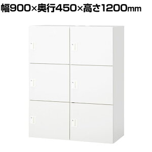 IL-6FS | IL 6lpbJ[ W4 zCg V_[ 900×s450×1200mm vX(PLUS)p[\ibJ[ 6lp tbJ[ וꃍbJ[ ۊǌ ގ[ p[\i{b