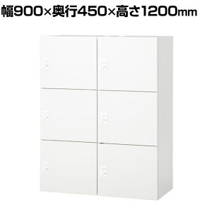 IL-6FD | IL 6lpbJ[ W4 zCg _C 900×s450×1200mm vX(PLUS)p[\ibJ[ 6lp _CbJ[ tbJ[ וꃍbJ[ ۊǌ ގ[