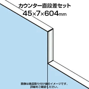 TF JE^[iZbgTF-1521DS-KC W4 45×s7×604mm
