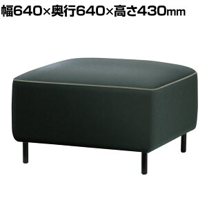 RS-S19K BK | S1 GX ڃ\t@ Xc[ r[`FA {v ubN 640×s640×430mm vX PLUS