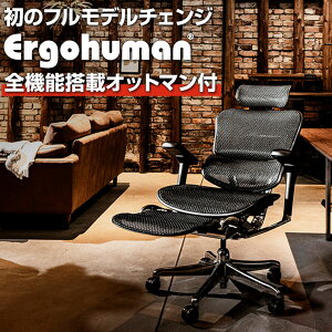 【グレー×ホワイト以外:11月20日入荷予定】エルゴヒューマン プロ2 Ergohuman PRO2 新基盤 オットマン内蔵 高機能 メッシュチェア オフィスチェア パソコンチェア デスクチェア ワークチェア 在