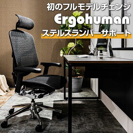 エルゴヒューマン エンジョイ2 Ergohuman ENJOY2 ハイタイプ 高機能 メッシュチェア オフィスチェア パソコンチェア デスクチェア ワークチェア 在宅ワーク 椅子 ヘッドレスト付き ステルスランバーサポート EJ2-HAM