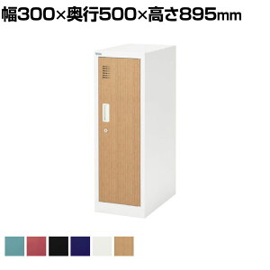 y@llz~jbJ[ X`[bJ[ ItBXbJ[ V[YbJ[ 1lp t It gݍ킹 CAEgR 300×s500×895mmyiz