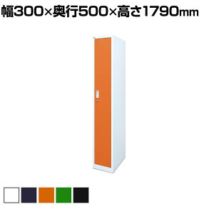 y@llzȃXy[XbJ[ 11i 1lp t A\ X߃bJ[ X`[bJ[ 300×s500×1790mm ItBXbJ[ XbJ[ V[YbJ[yiz