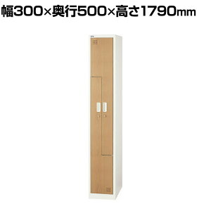 y@llzȃXy[XbJ[ 12i L^ 2lp ؖڔ t A\ X߃bJ[ X`[bJ[ zCg/I[N 300×s500×1790mm ItBXbJ[ XbJ[ V