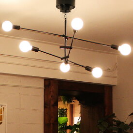 【白熱電球付き】ペンダントライト カーディナル 6灯 LED対応 シンプル モダン 角度調節 シーリングライト 照明 おしゃれ ブラック ブラウン