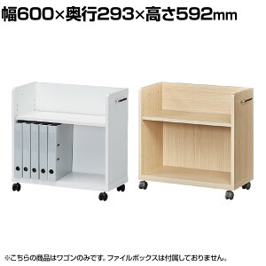 TChS fXNS ItBXR2 LX^[t 600×s293×592mm Y