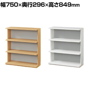 I[vbN I JE^[ VFt {I Lb`[ s^VG PTS-8575R 750×s296×849mm Y