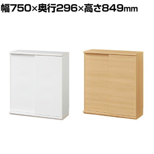 Lrlbg I JE^[  Lb`[ s^VG PTS-8575SD 750×s296×849mm Y