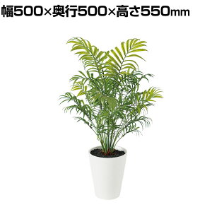 ϗtA lH tFCNO[  e[uV PE 550mm :SA-5(WH) 