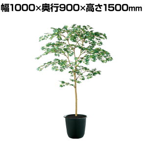 ϗtA lH tFCNO[  }~W GREEN FST 1500mm :c[7(BK)