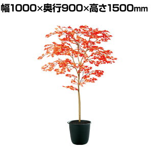ϗtA lH tFCNO[  }~W RED FST 1500mm :c[7(BK)