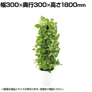 ϗtA lH tFCNO[  MIXwS C/C 1800mm :SA-10(WH)