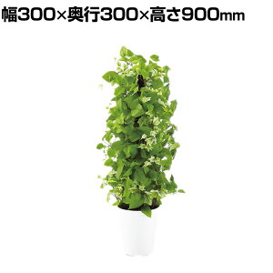 ϗtA lH tFCNO[  MIXwS C/C 900mm :SA-7(WH)