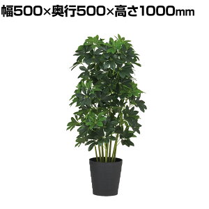 ϗtA lH tFCNO[  O[J|bN ubN|bgt 1000mm