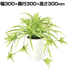 ϗtA lH tFCNO[  Id G/Y 300mm :SA-4(WH) 