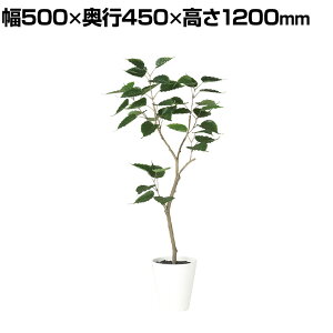 ϗtA lH tFCNO[  Ch{_CW FST 1200mm :SA-7(WH)