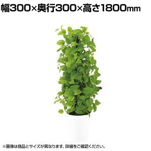 ϗtA lH tFCNO[  C|gXwS 1800mm :SA-10(WH)