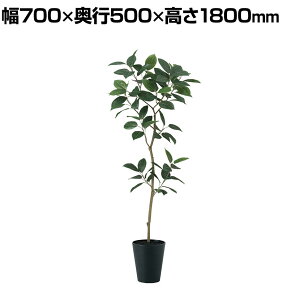 ϗtA lH tFCNO[  fRS FST 1800mm :SA-10(BK)