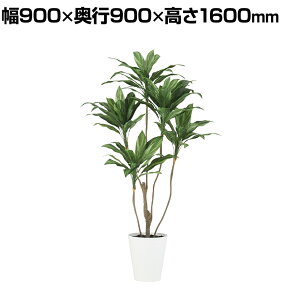 ϗtA lH tFCNO[  RfBl 1600mm :SA-10(WH)