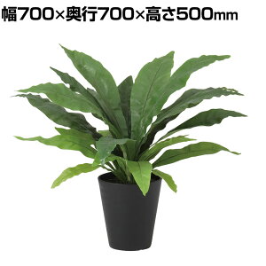 ϗtA lH tFCNO[  II^j^ 500mm :SA-6(BK) 