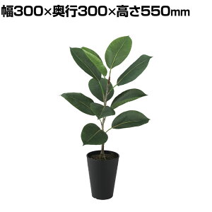 ϗtA lH tFCNO[  fRS [c|bg 550mm :SA-4(BK) 