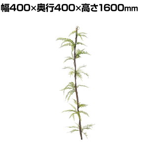 ϗtA lH tFCNO[  ~bNXt@ oC LTCY 1600mm