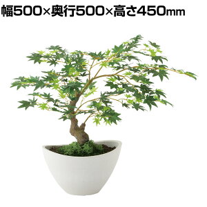 ϗtA lH tFCNO[  }~W {E GREEN 450mm :BB-25(WH) 