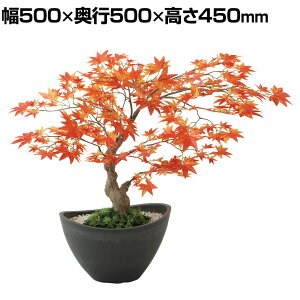 ϗtA lH tFCNO[  }~W {E RED 450mm :BB-25 (DG) 