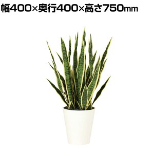 ϗtA lH tFCNO[  TXxA 750mm :SA-7(WH)