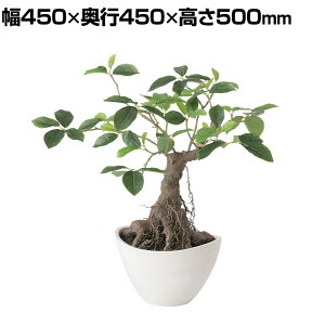 ϗtA lH tFCNO[  KW} {E 500mm :BB-25(WH) 