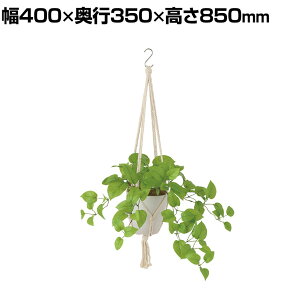 ϗtA lH tFCNO[  C|gX ubV :HP-15(WH) nMOA nMO|bg ݂艺|bg 850mm