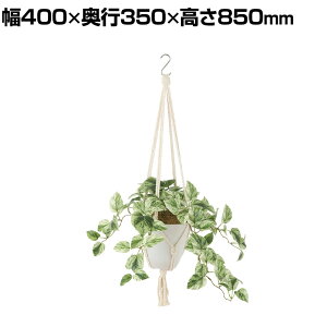 ϗtA lH tFCNO[  }[u|gX :HP-15(WH) nMOA nMO|bg ݂艺|bg 850mm