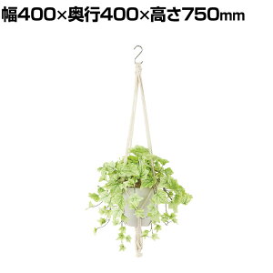ϗtA lH tFCNO[  CACr[ :HP-15(WH) nMOA nMO|bg ݂艺|bg 750mm