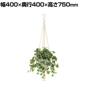 ϗtA lH tFCNO[  OCVAACr[ :HP-15(WH) nMOA nMO|bg ݂艺|bg 750mm