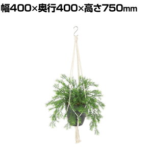 ϗtA lH tFCNO[  XvQ[ :HP-15 (DG) nMOA nMO|bg ݂艺|bg 750mm