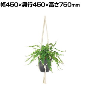 ϗtA lH tFCNO[  ChOXt@ :HP-15 (DG) nMOA nMO|bg ݂艺|bg 750mm