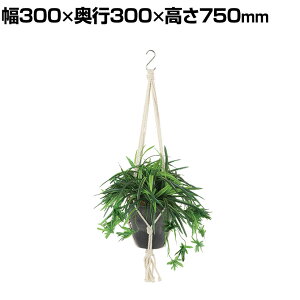 ϗtA lH tFCNO[  Id G :HP-15 (DG) nMOA nMO|bg ݂艺|bg 750mm