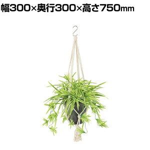 ϗtA lH tFCNO[  Id G/Y :HP-15 (DG) nMOA nMO|bg ݂艺|bg 750mm