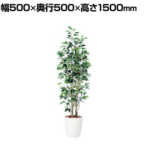 ϗtA lH tFCNO[  xW~ X FST 1500mm :RP-265