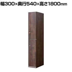 TML ؐbJ[ 2lp BR t 300×s540×1800mm ItBXbJ[ XbJ[ X߃bJ[ [I  yYzyiz n