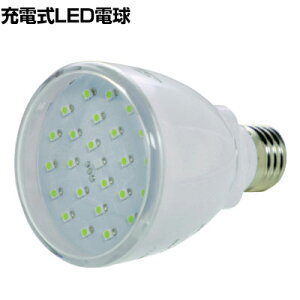 TRUSCO [dX}[gLEDd TDRS26H