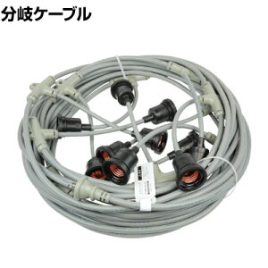 HASEGAWA nZK P[u ESTV[Y 20m h\Pbg×10 EST120M10L