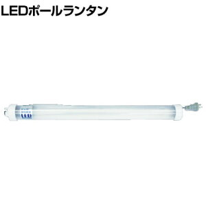 HASEGAWA �n�Z�K�� LED�|�[�������^�� PL0-25LESW �X�C�b�`�t�� PL0LS22
