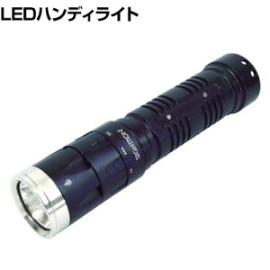 SIGHTRON BRIGHT-TECH LEDtbVCg EX100FL