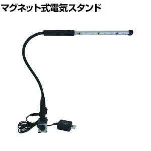 NOGA mK LEDXebL LED8200