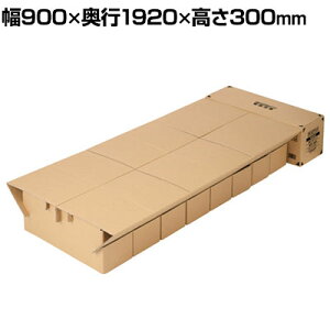 TRUSCO i{[xbh ȒPg  Ə ЊQ~i BCP΍ gݗĎTCY 900×s1920×300mm